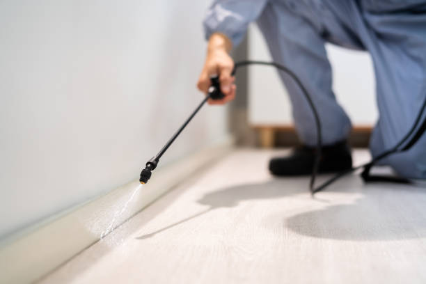 Licensed Pest Control service in Hilltop, MN - Show Me Pest Control