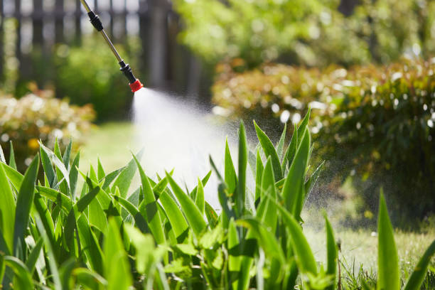 24/7 Emergency Wasp Removal experts in Hilltop, MN