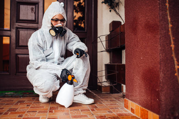 Reliable Wasp Removal contractor in Hilltop, MN by Show Me Pest Control