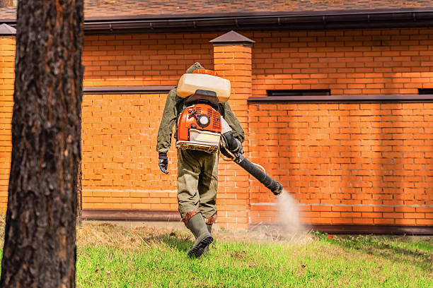 Top rated local Wasp Removal specialists in Hilltop, MN